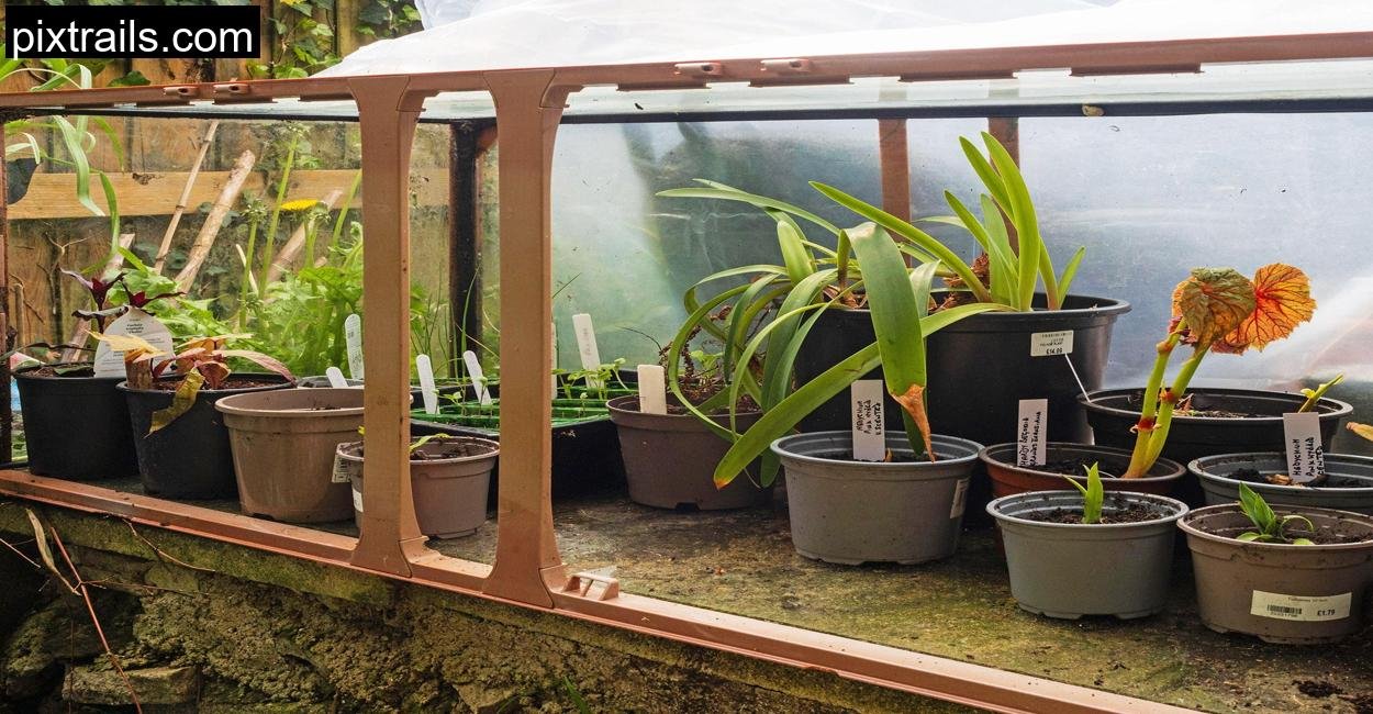 8 DIY Mini Greenhouse Ideas_pixtrails_com_0