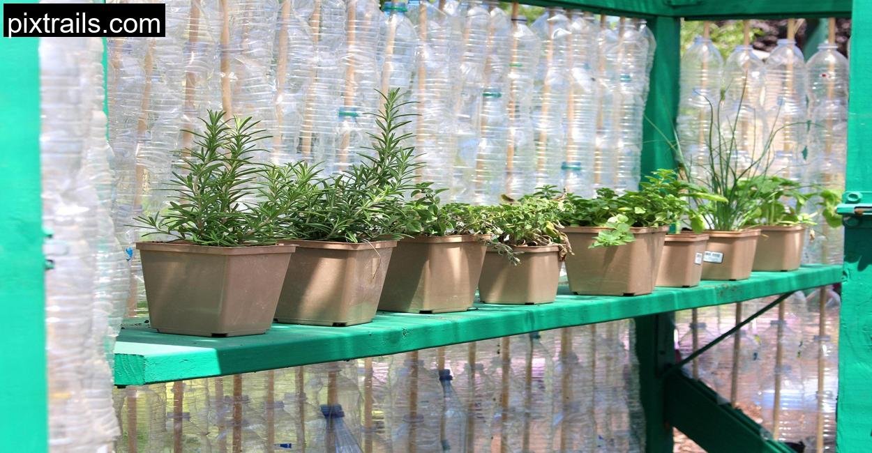 8 DIY Mini Greenhouse Ideas_pixtrails_com_21