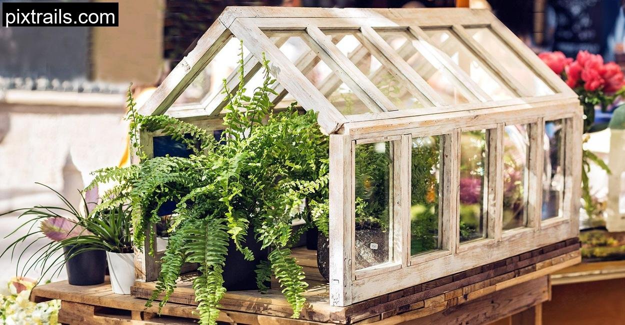 8-DIY-Mini-Greenhouse-Ideas