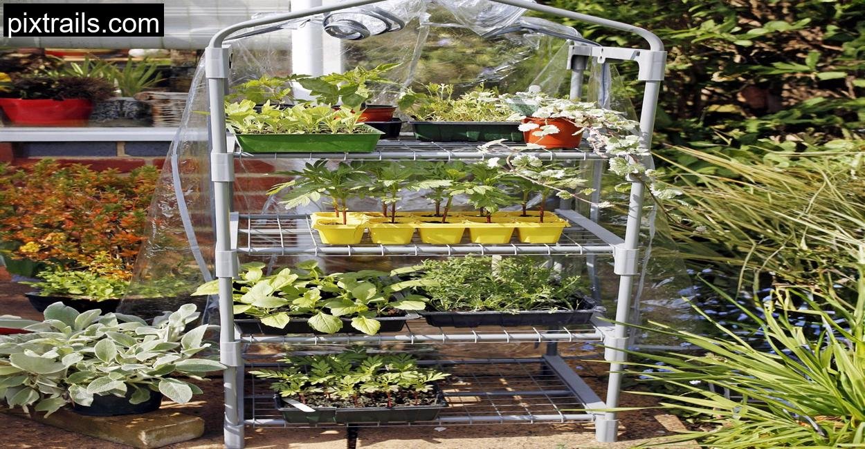 8 DIY Mini Greenhouse Ideas_pixtrails_com_7