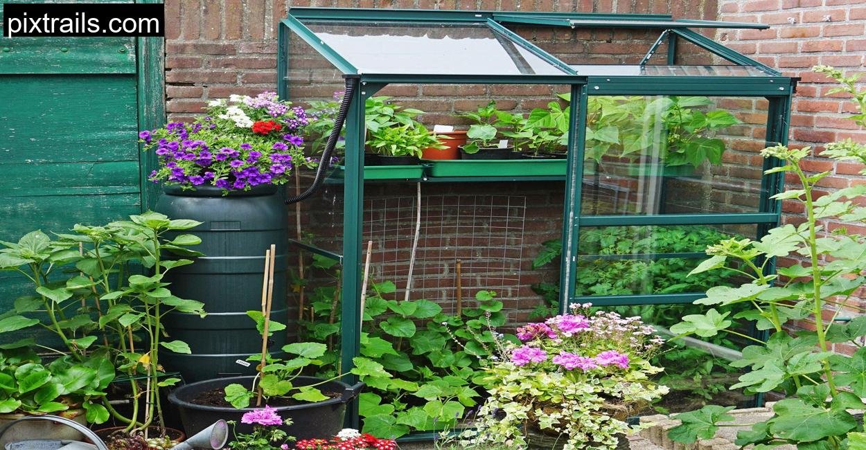 8 DIY Mini Greenhouse Ideas_pixtrails_com_8