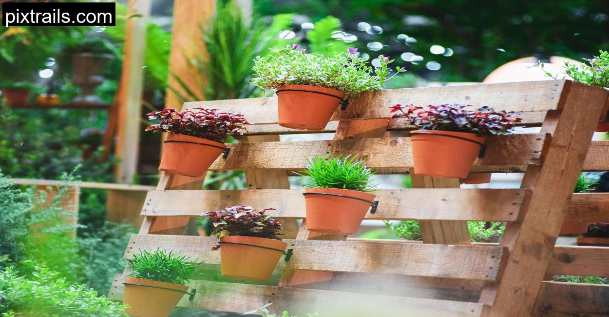 Balcony Gardening_pixtrails_com_15