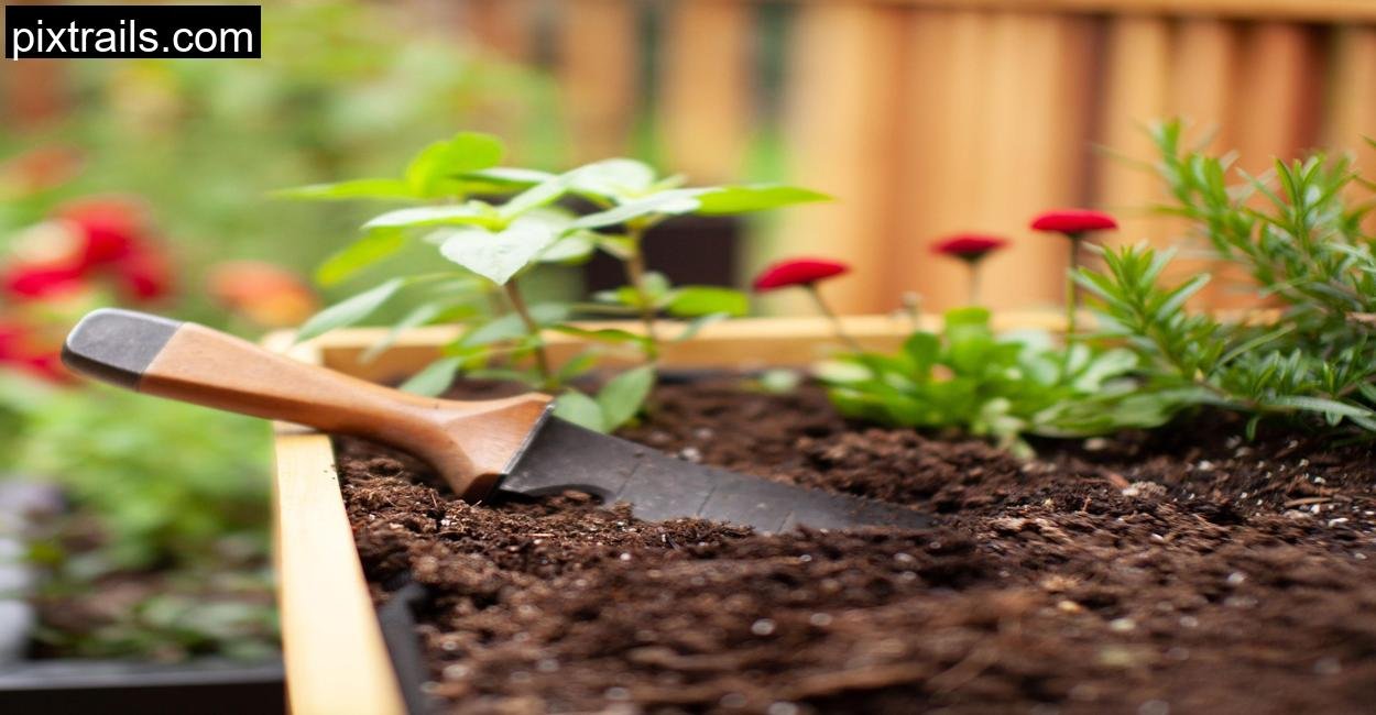 Cheap Container Vegetable Gardening Ideas_pixtrails_com_10