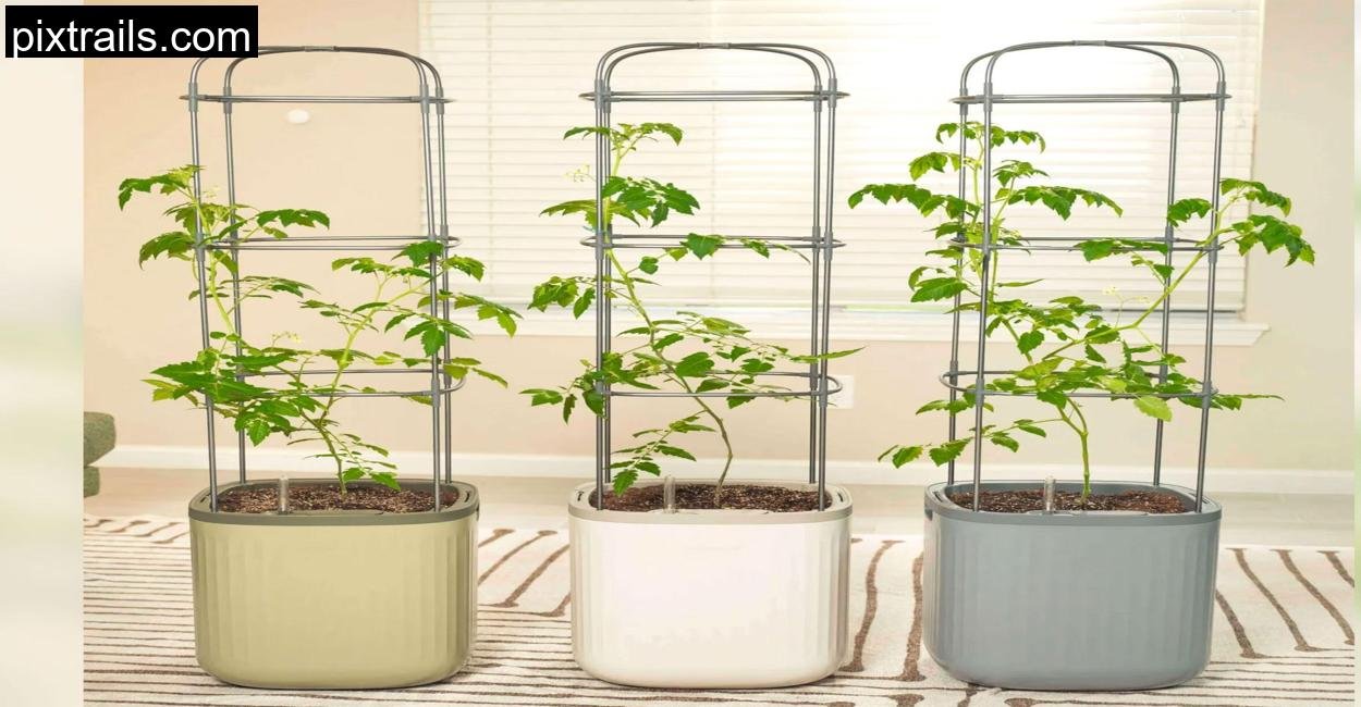 Cheap Container Vegetable Gardening Ideas_pixtrails_com_13