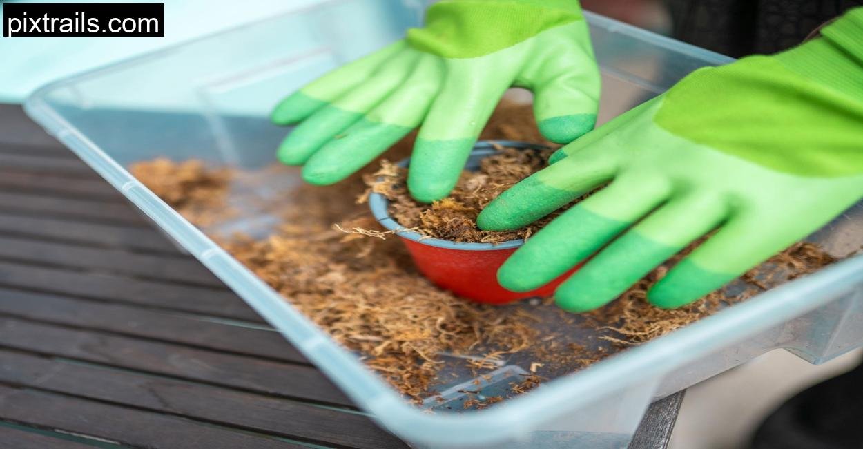 Cheap Container Vegetable Gardening Ideas_pixtrails_com_2