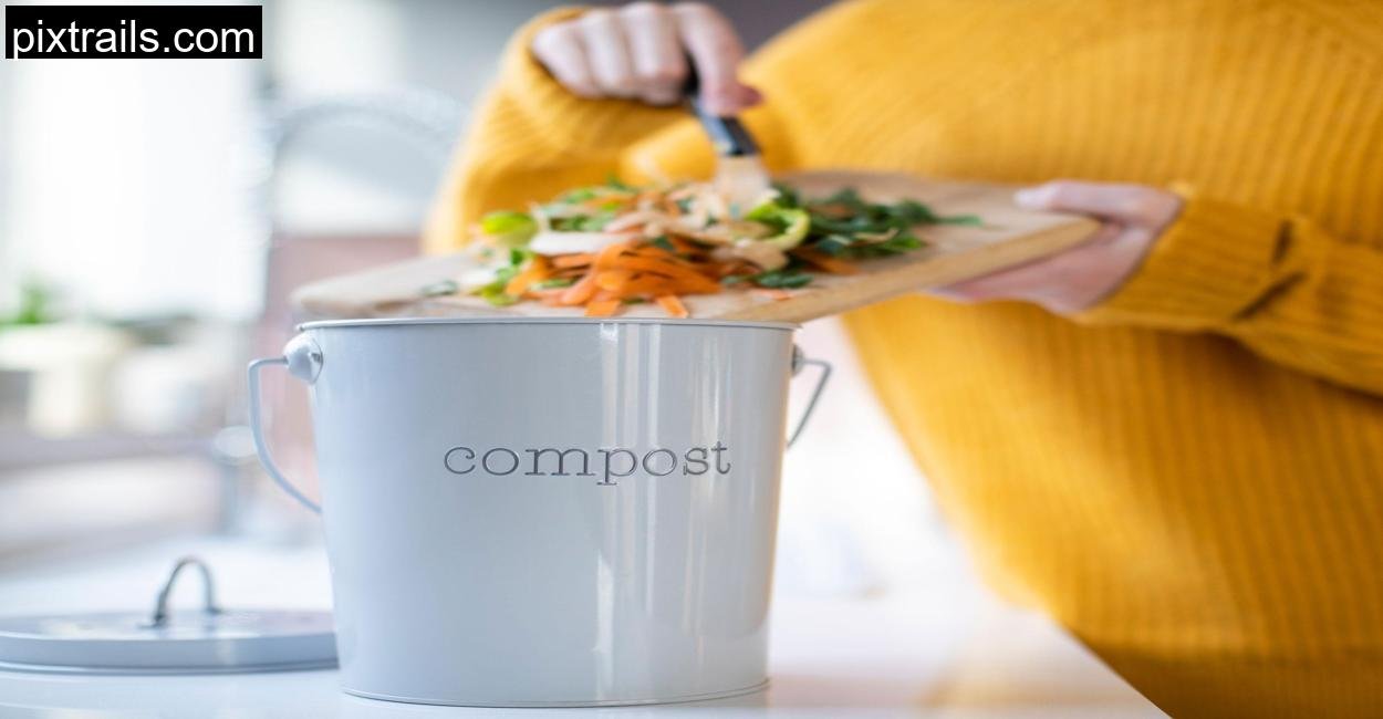 Cheap Container Vegetable Gardening Ideas_pixtrails_com_7