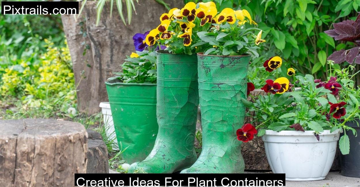 Creative-Ideas-For-Plant-Containers