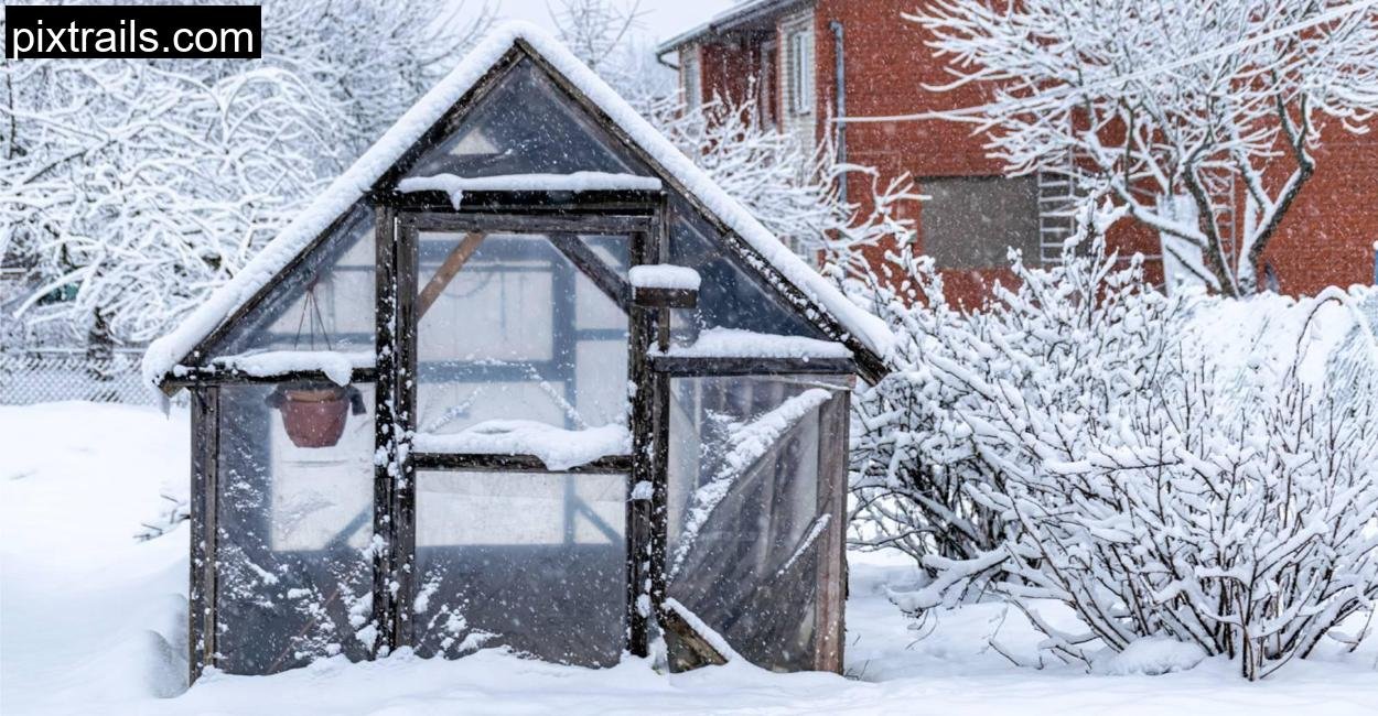 Greenhouse-For-Winter