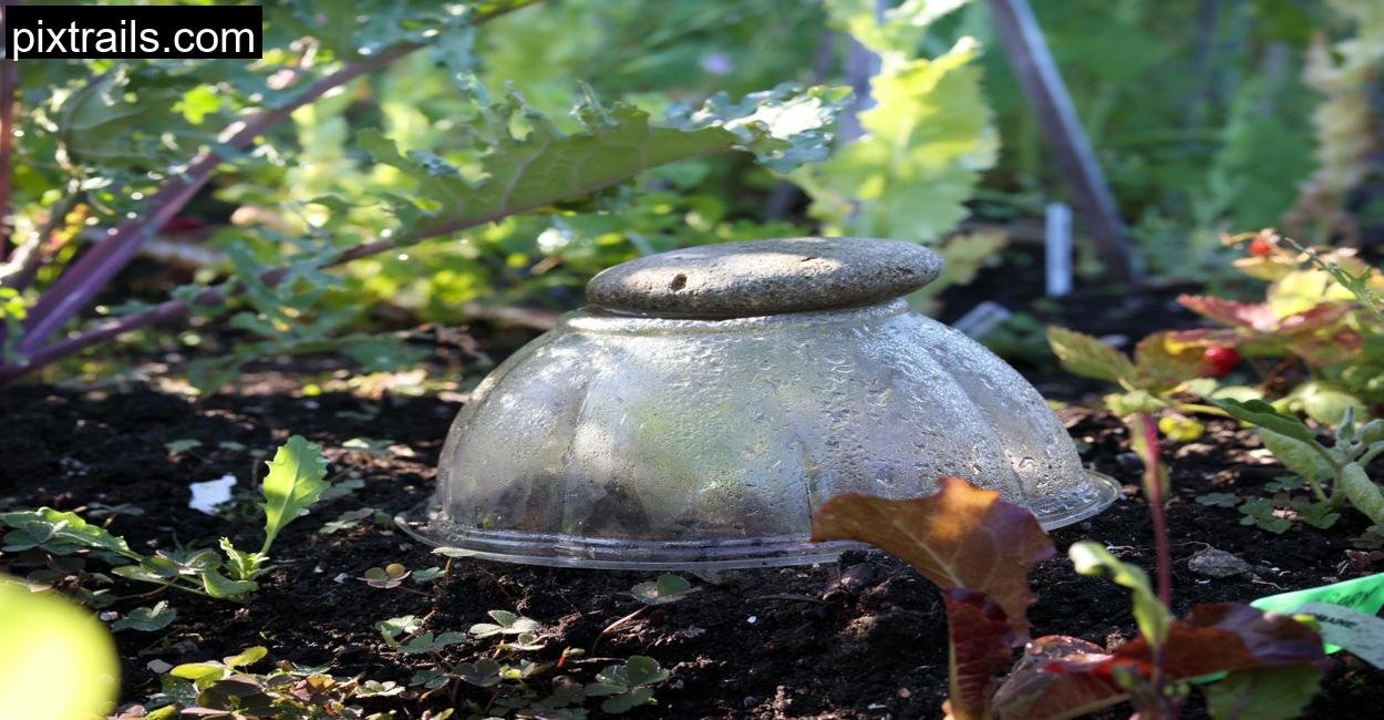 special_greenhouses_diy_cloche_pixtrails_com_12
