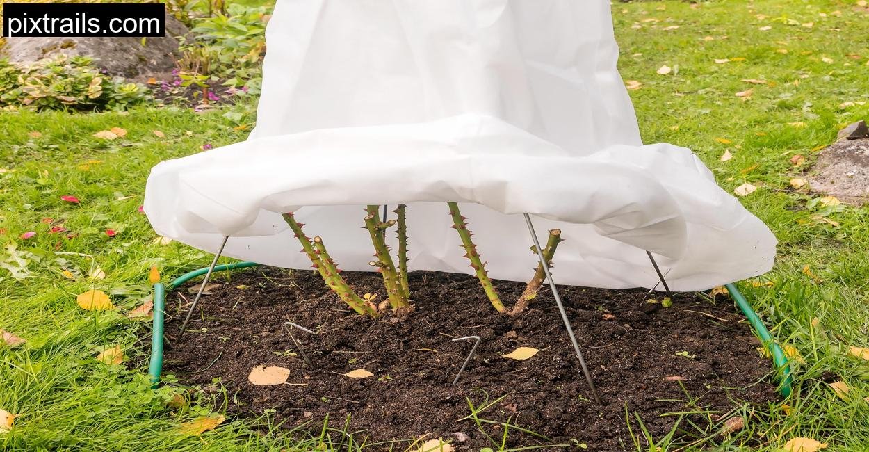 special_greenhouses_diy_cloche_pixtrails_com_9